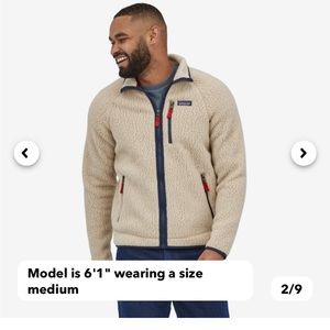 Patagonia Mens Retro Pile Fleece Jacket